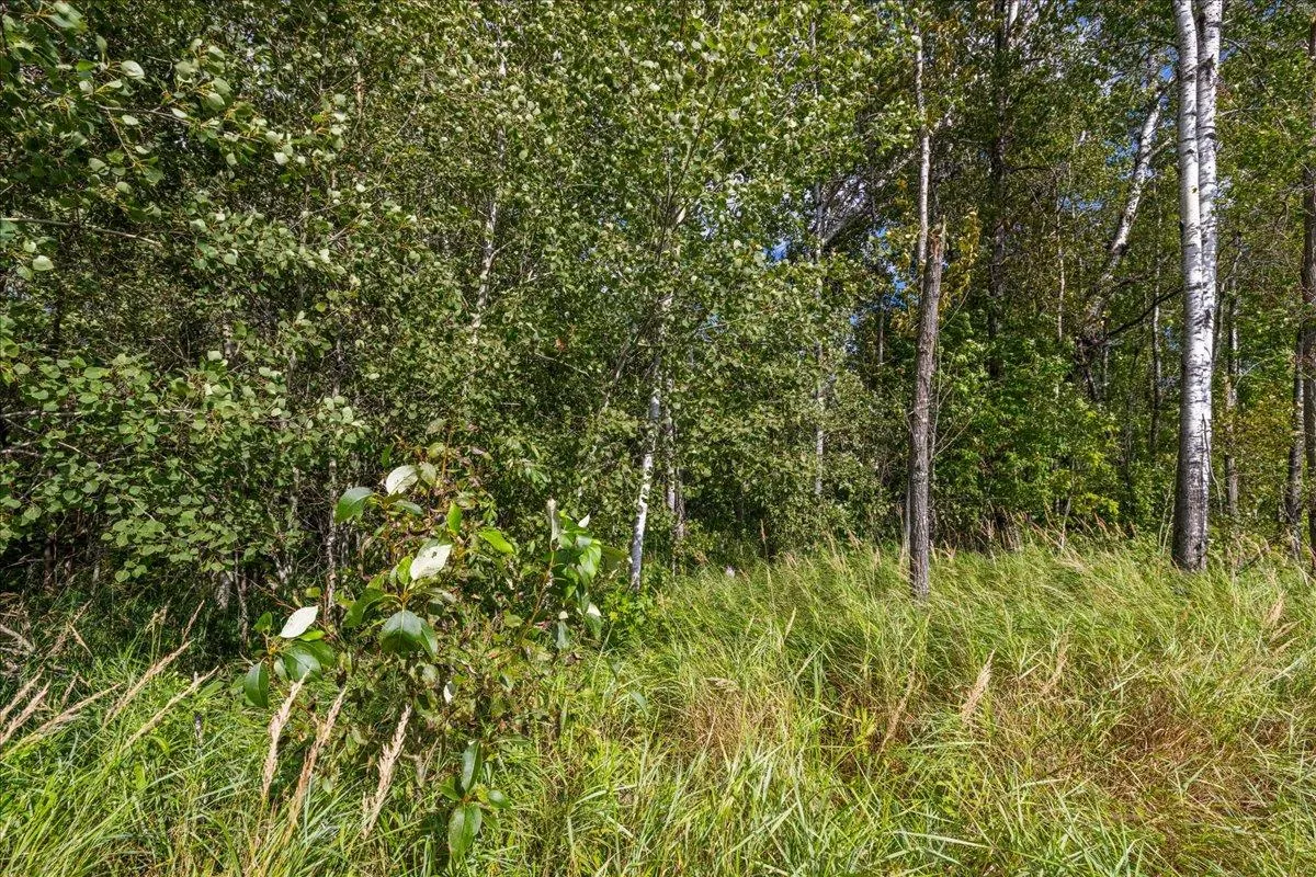 Pine Island Escape - View 3