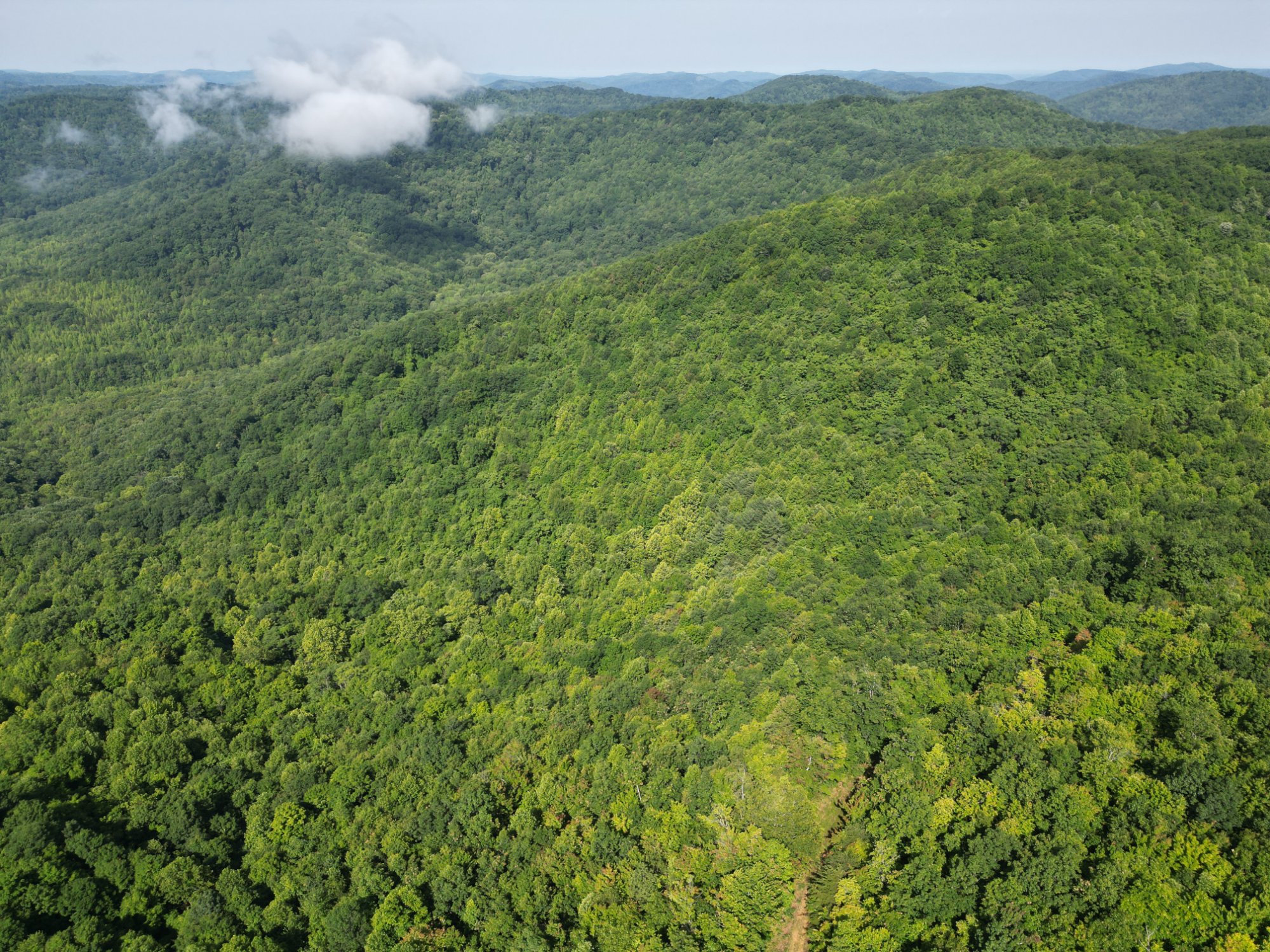 Whitley Hills - View 3